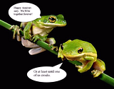 funny-frog-07.png image by cmajewski